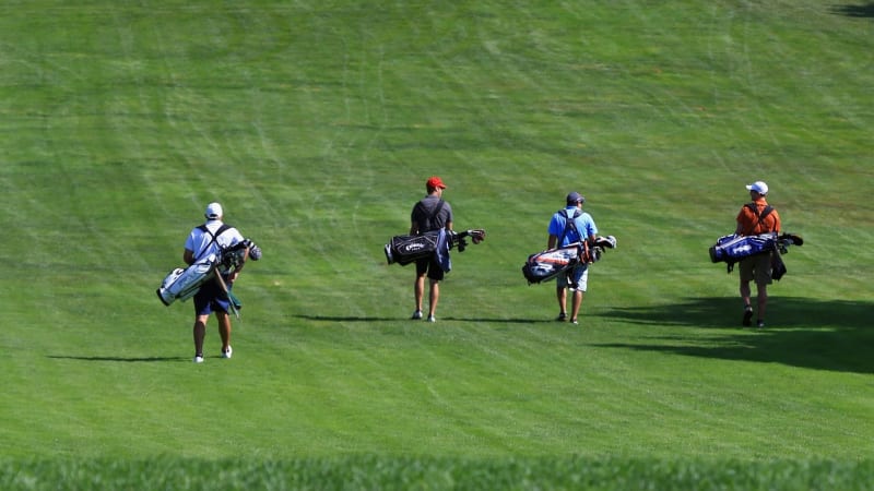 Die „Graugolfer“ und die EGA-K...