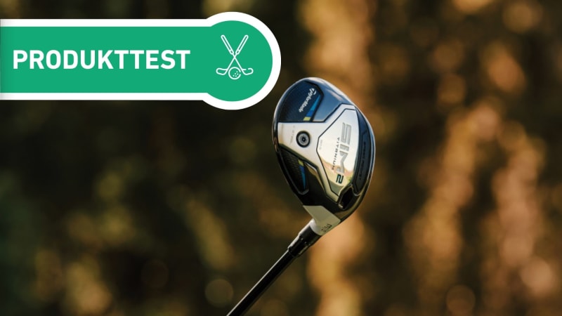 "Ein Freund in der Not" - Tayl...