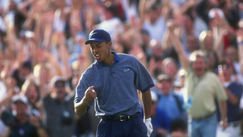 Ekstase am Party-Loch: Tiger W...