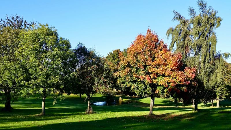 Greenpeace und das Golf-„Bashi...