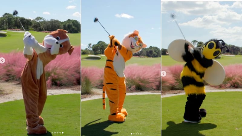 "The Masked Swinger": Wer erke...