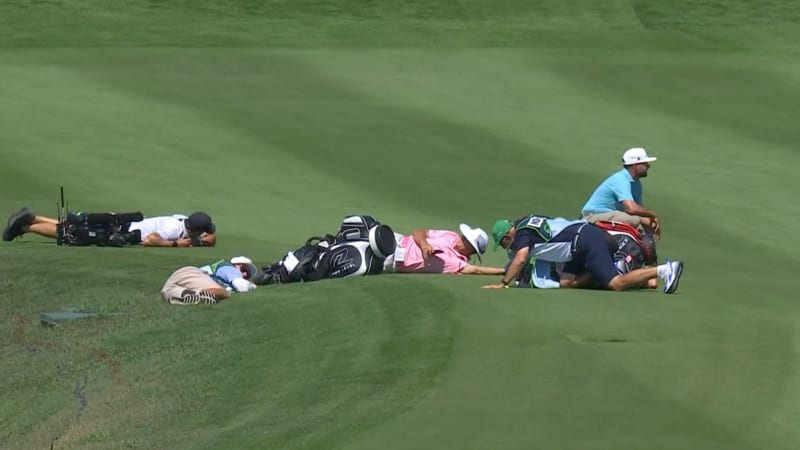 Szenen zum Schmunzeln: Bienena...