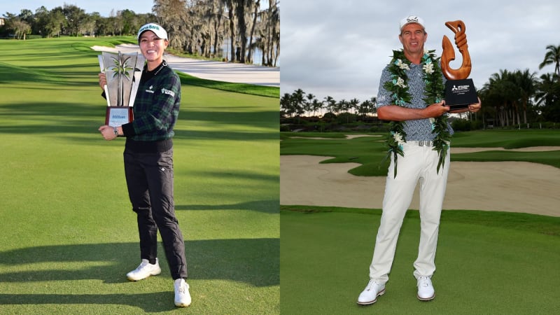 Round Up: Neuseeländische Domi...