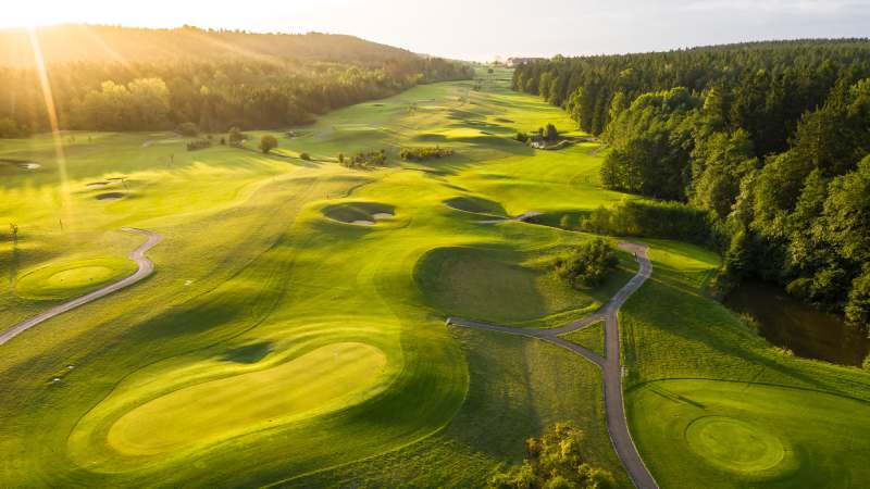 Allein mit Goethes Geist: Der...