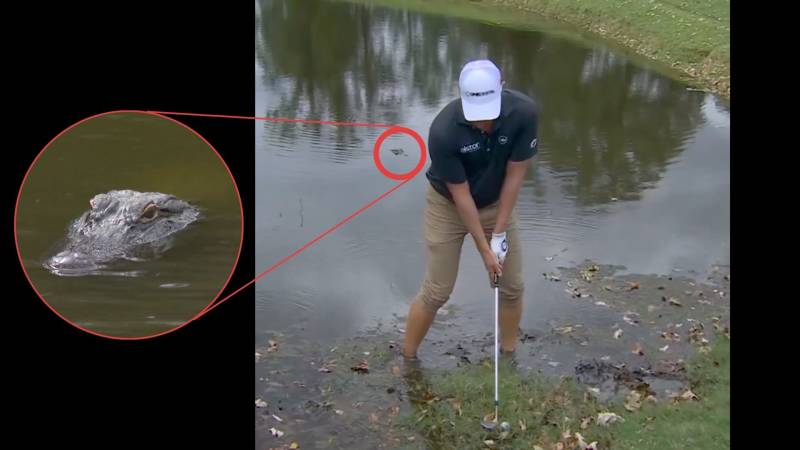 PGA Tour: Spieler steigt zu la...