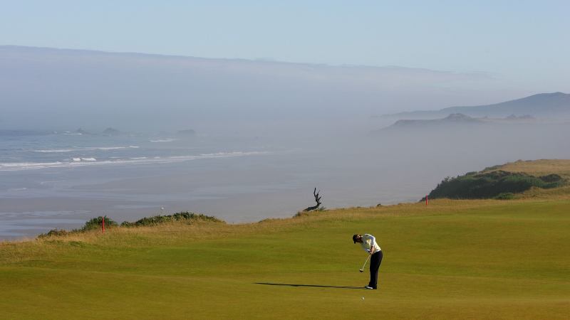 Die Wiesen der Wirtschaftsgröß...