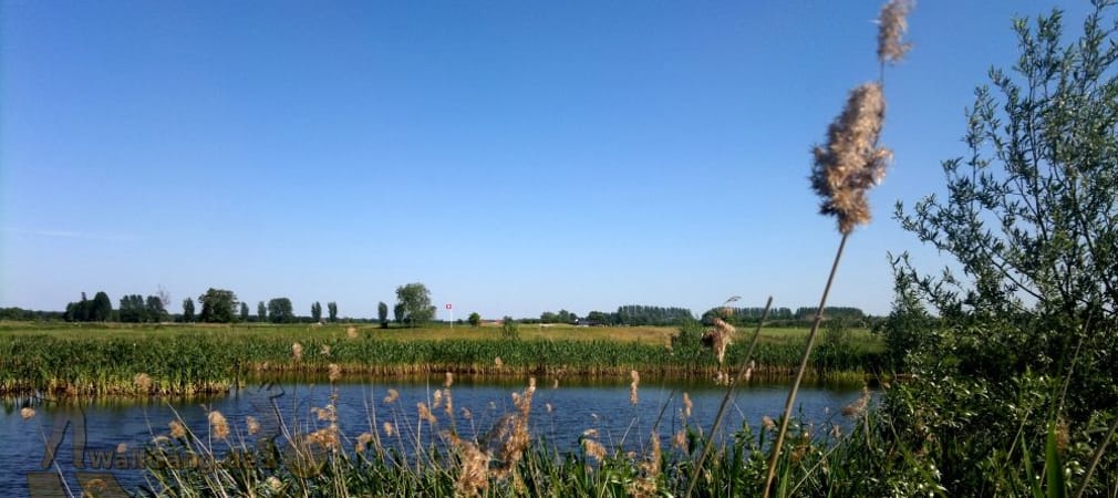 Die idyllische Heimatanlage der Wallgang
