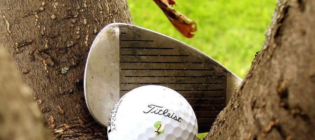 Troubleshot: Ball im Baum