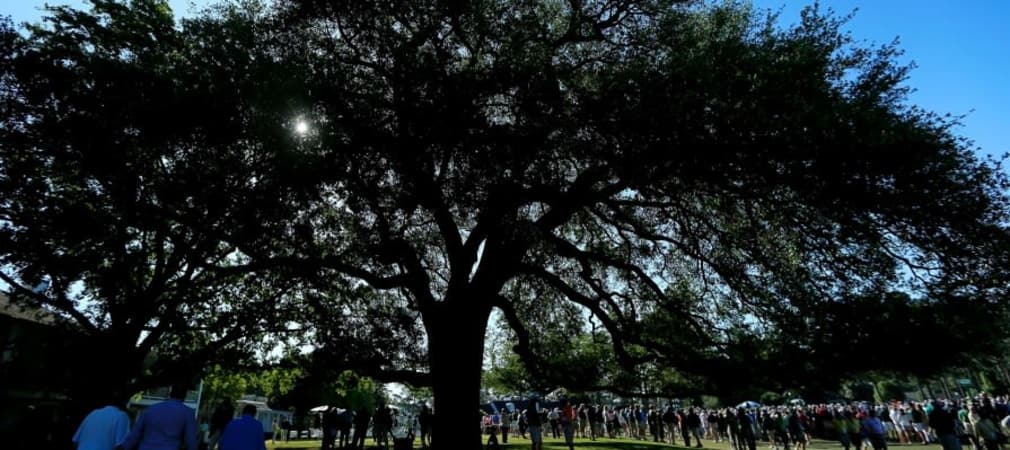 Der berühmte Eisenhower Tree wurde am Wochenende schwer beschädigt. (Foto: Getty)
