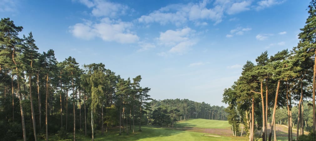 Die Golfregion Hamburg - Eine der attraktivsten Golfdestinationen Europas (Foto: Golfregio Hamburg)