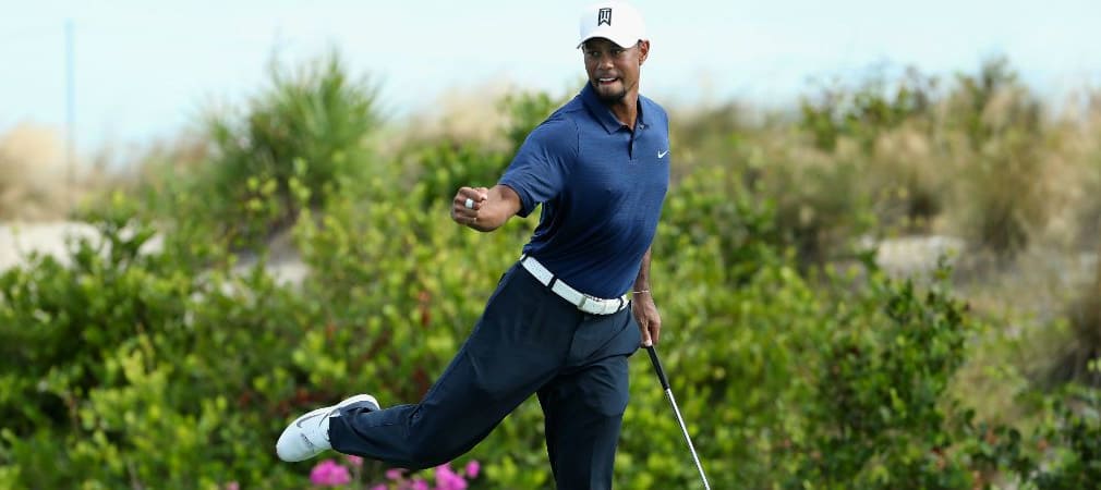 Endlich sehen wir den Tiger wieder jubeln! Während der zweiten Runde der Hero World Challenge hatte er allen Grund dazu. (Foto: Getty)
