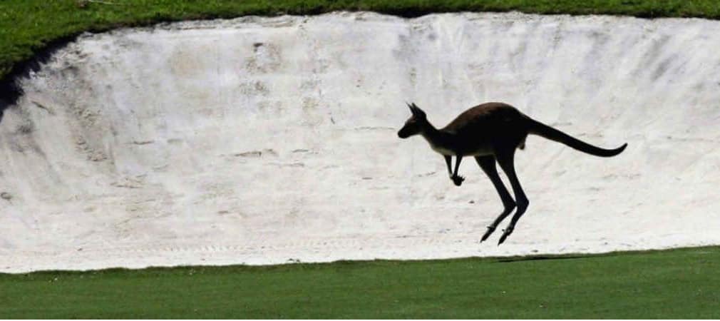 Im Lake Karrinyup Country Club wird es beim Finale des World Super 6 Perth nochmal besonders spannend, denn Matchplay ist angesagt. (Foto: Getty)