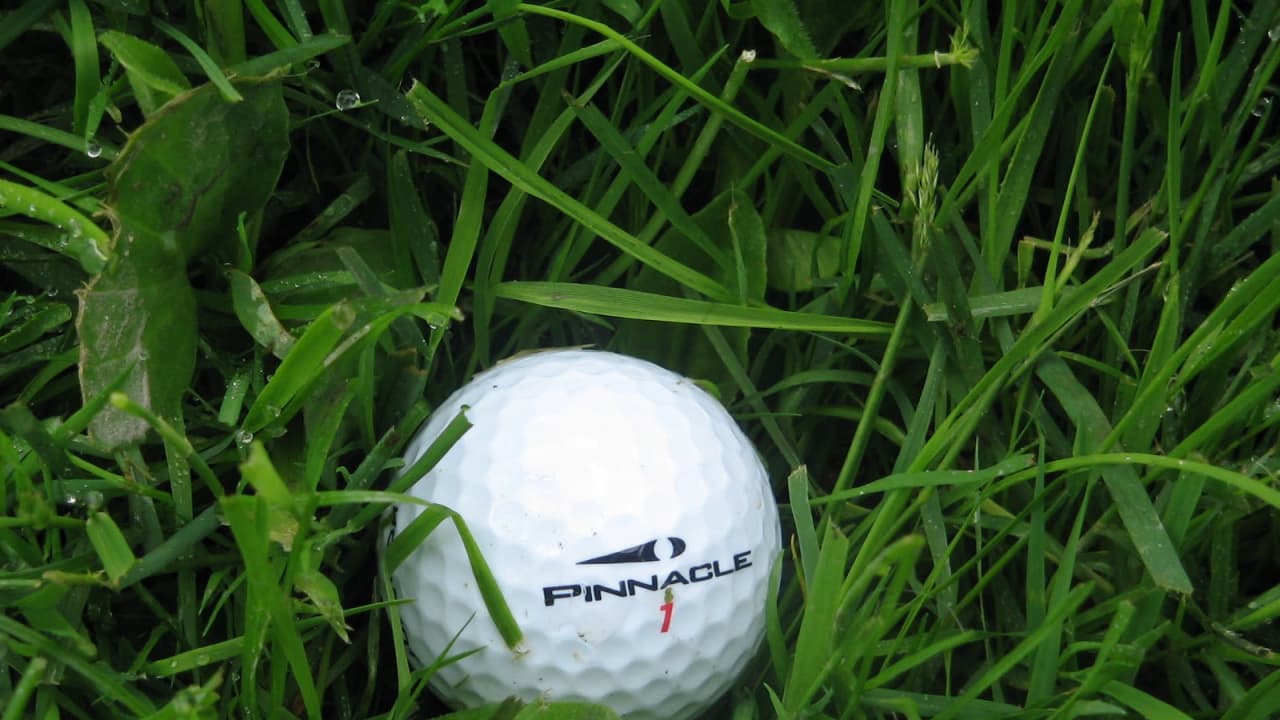 Golfball im Gras