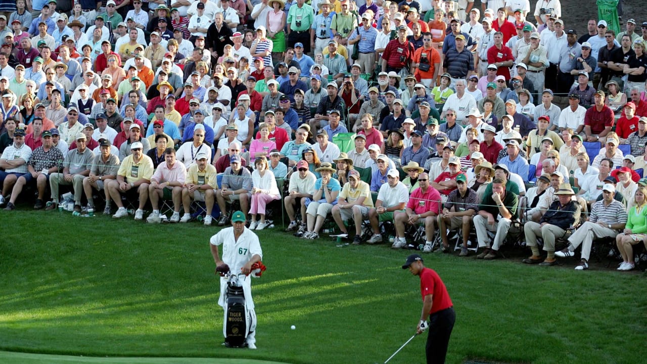 Tiger Woods