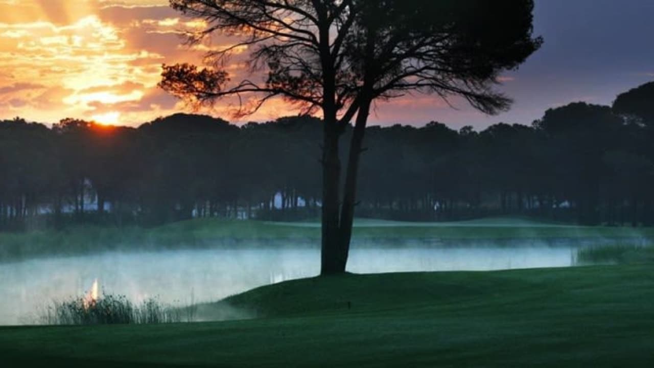 Der Montgomerie Maxx Royal