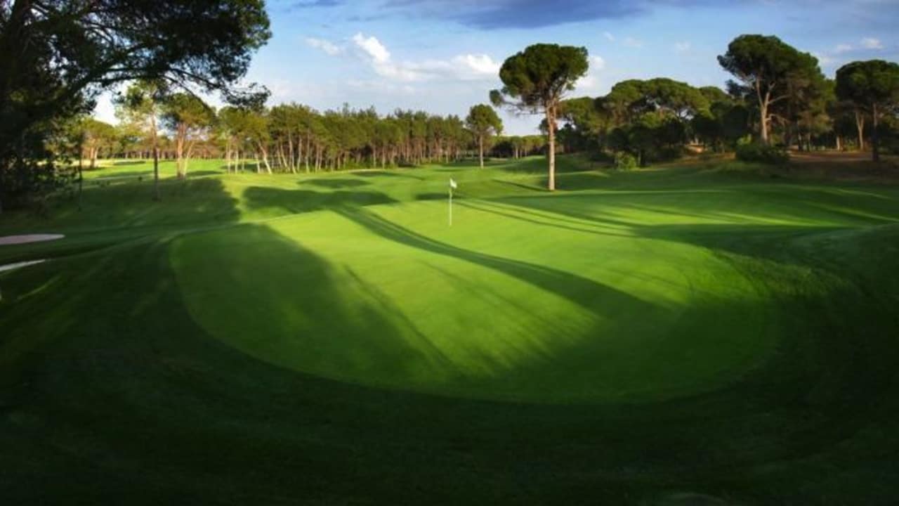 Montgomerie Maxx Royal