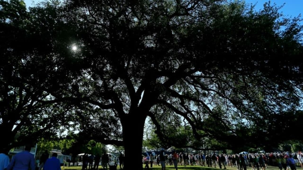 Der berühmte Eisenhower Tree wurde am Wochenende schwer beschädigt. (Foto: Getty)