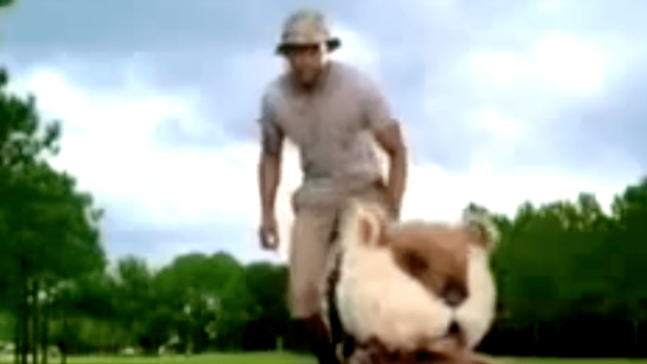 In diesem Golfwerbespot von American Express bekämpft Tiger Woods Nager auf dem Golfplatz. (Foto: Video)
