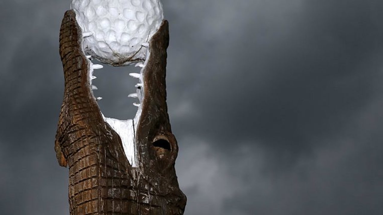 Vom Krokodil gefressen: Die dritte Runde der Zurich Classic. (Foto: Getty)