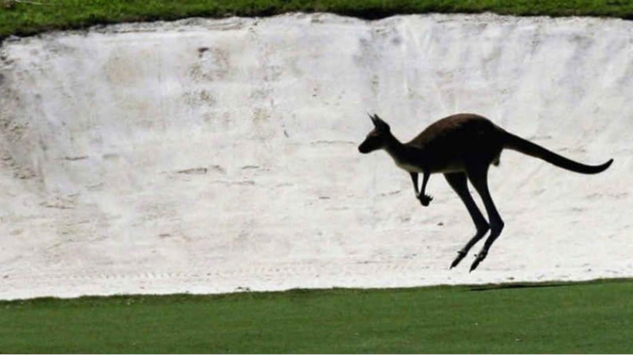 Im Lake Karrinyup Country Club wird es beim Finale des World Super 6 Perth nochmal besonders spannend, denn Matchplay ist angesagt. (Foto: Getty)