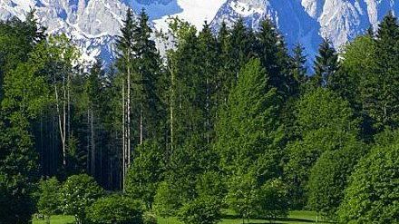 Golfplatz in Oberau