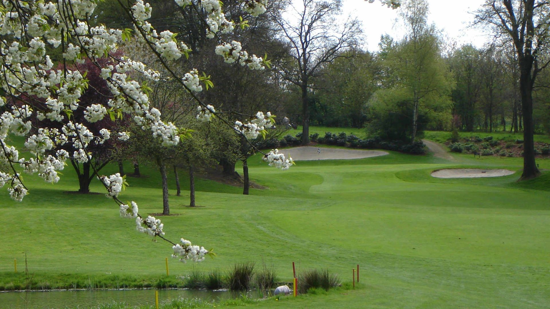 Golfplatz in Bad Neuenahr-Ahrweiler