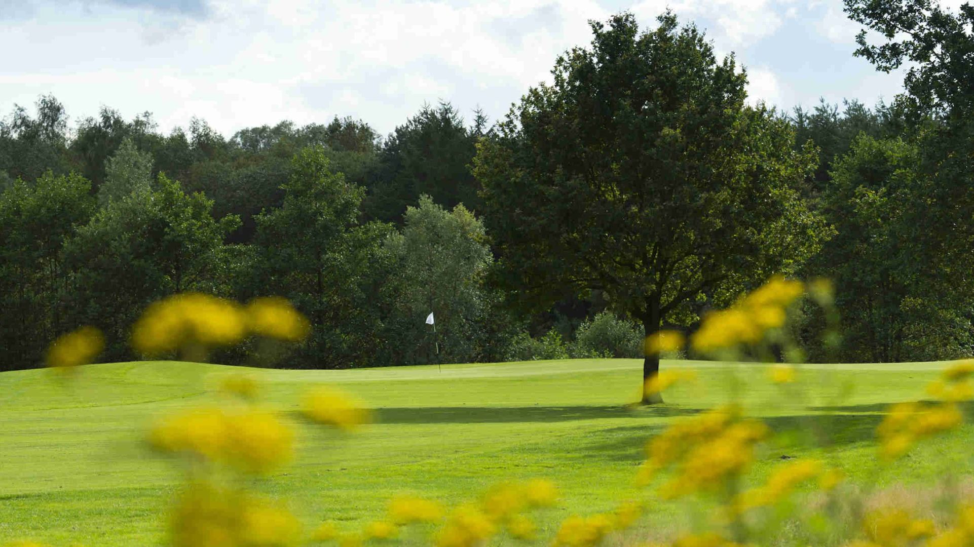Golfplatz in Bad Zwischenahn