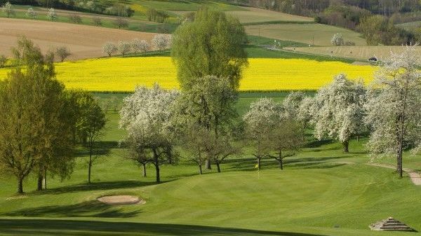 Golfplatz in Friedrichsruhe-Zweiflingen