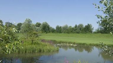 Golfplatz in Rieden