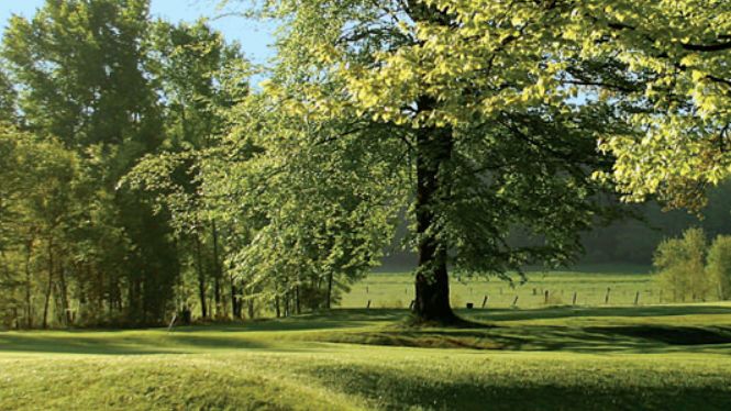 Golfplatz in Bad Soden-Salmünster