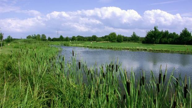 Golfplatz in Bad Vilbel-Dortelweil