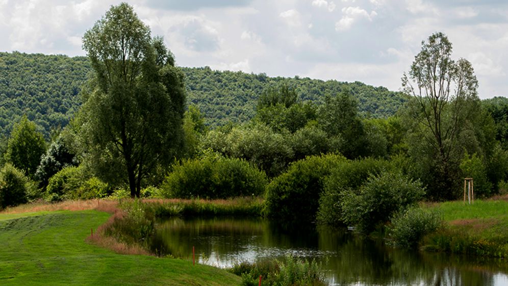 Golfplatz in Nohfelden-Eisen