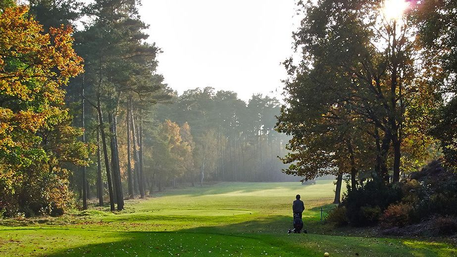 Golfplatz in Celle-Garssen
