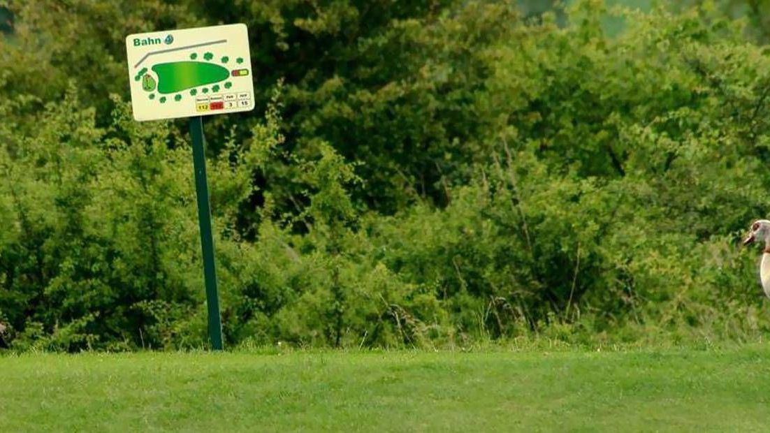 Golfplatz in Waldeck