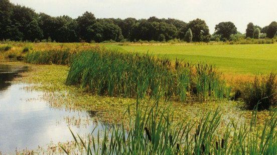 Golfplatz in Herten-Westerholt