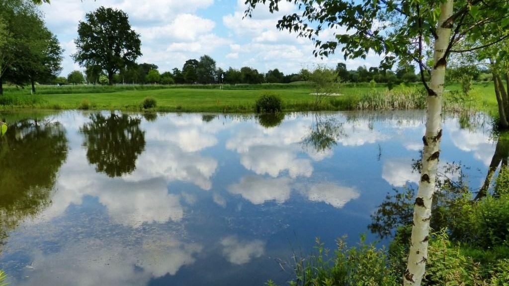 Golfplatz in Wagenfeld