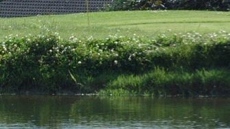 Golfplatz in Tegernbach