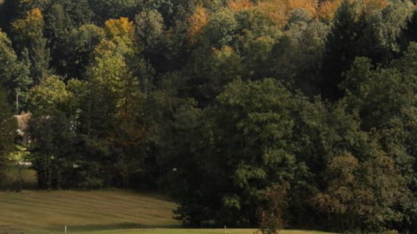 Golfplatz in Wackersberg