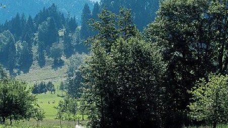 Golfplatz in Oberstaufen-Steibis