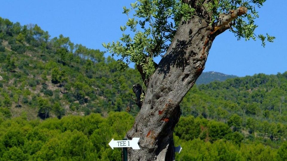 Golfplatz in PALMA