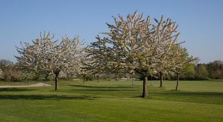 Golfplatz in Pinneberg