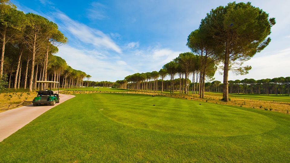 Golfplatz in