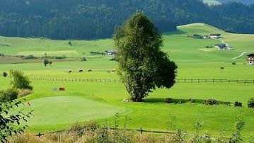 Neue Golfcarts bescheren GC Walchsee Moarhof ein modernes Fahrerlebnis Neue Golfcarts bescheren GC Walchsee Moarhof ein modernes Fahrerlebnis