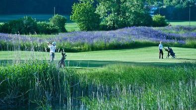 Golf Club Limpachtal: Golf & Burger All-Inclusive Package für Gruppen Golf Club Limpachtal: Golf & Burger All-Inclusive Package für Gruppen