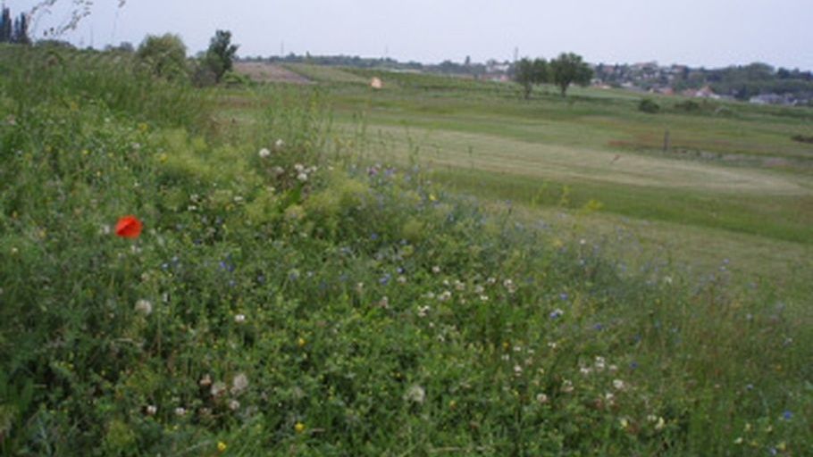 Öko Golfplatz Neusiedler Csarda
