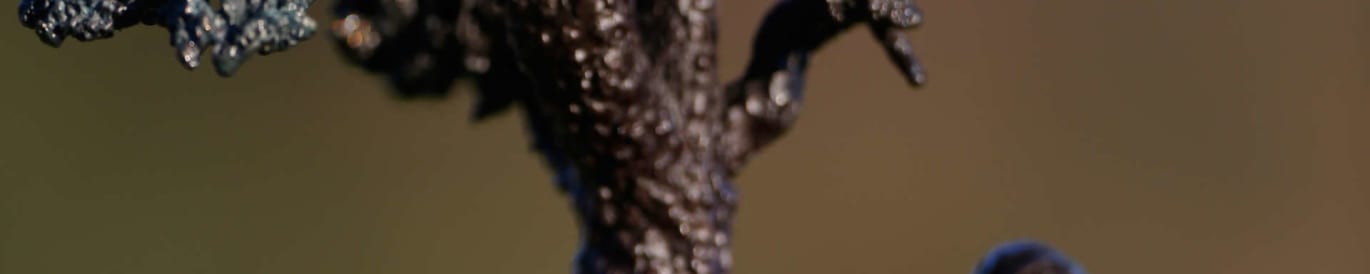 Farmers Insurance Open