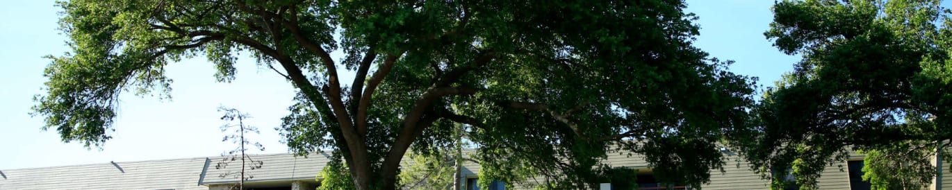 Valspar Championship