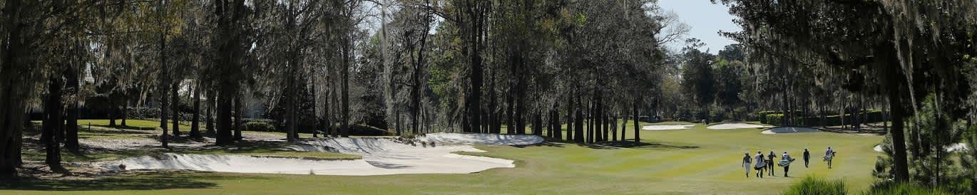 LPGA Drive On Championship