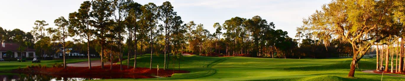 LPGA Tour: In Gee Chun at Hilton Grand Vacations Tournament of ...