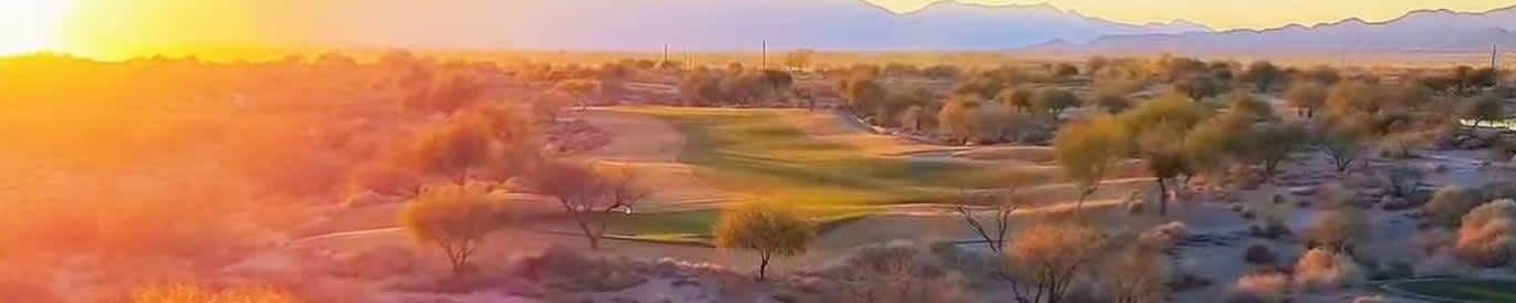 Ford Championship presented by Wild Horse Pass